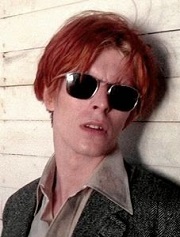 Bowie, en " El hombre que cayó a la tierra "