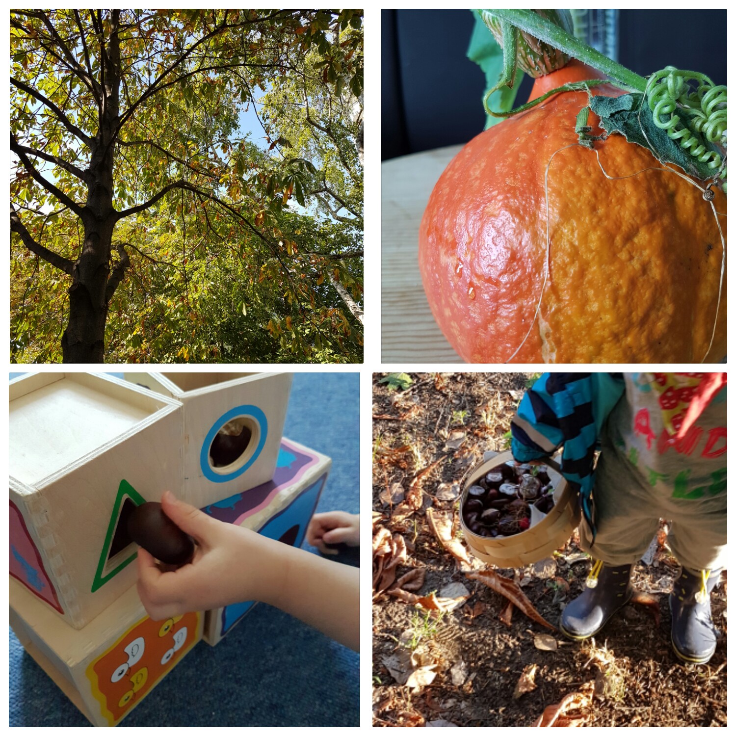 Faryna Buhnenprogramm