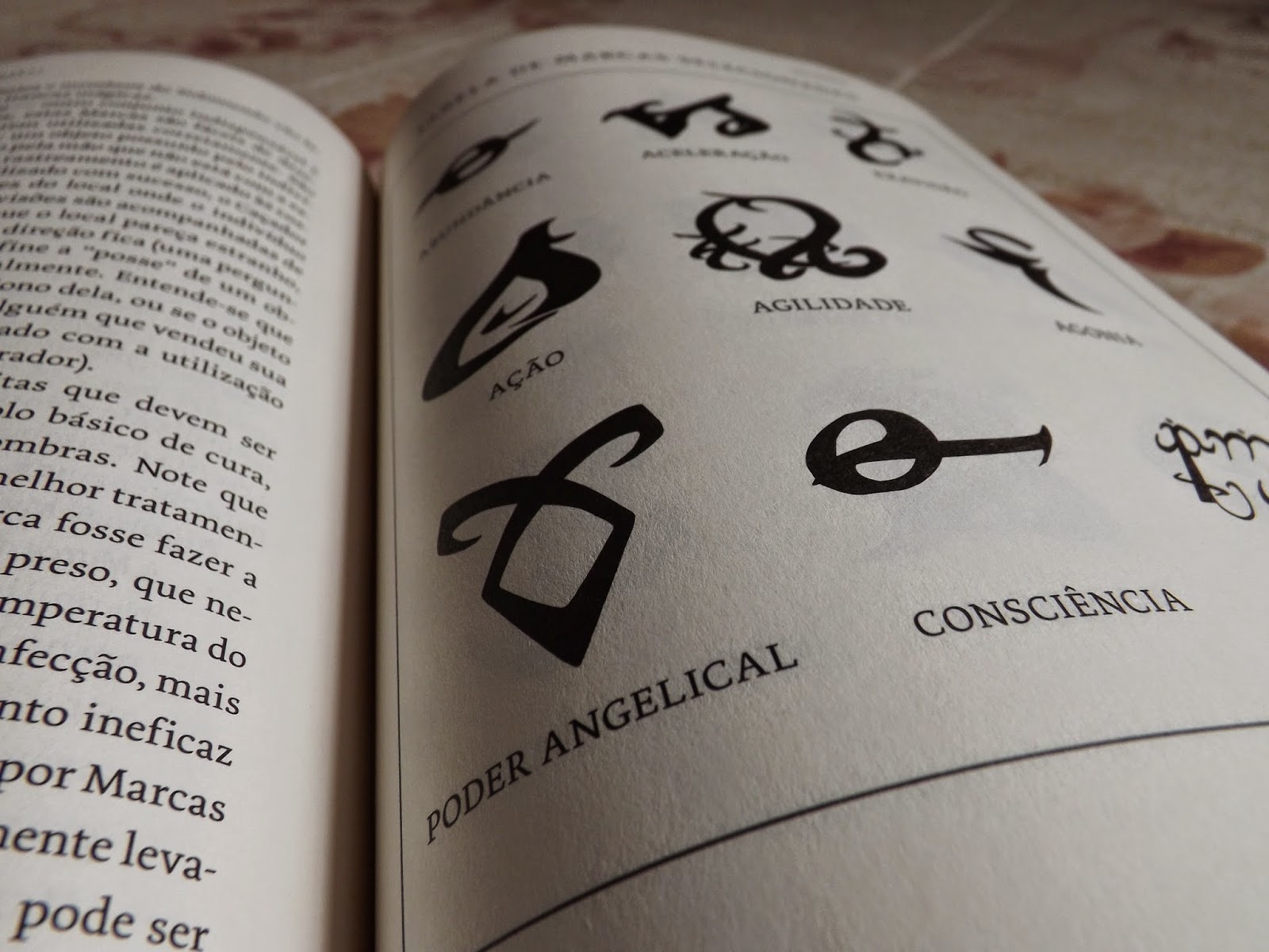 Amanhã Será Diferente: Livro: O Códex dos Caçadores de Sombras ...