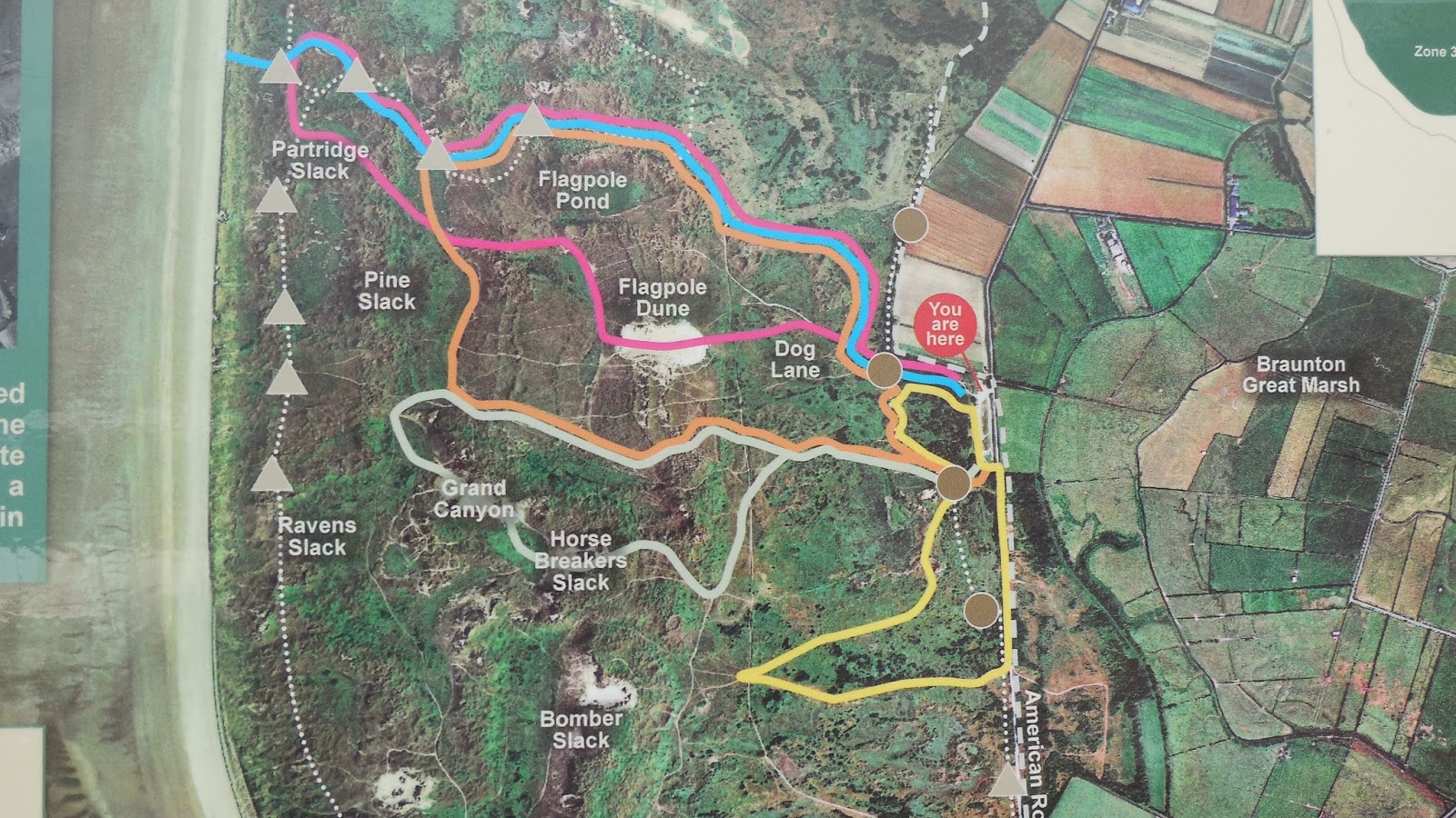 North Devon Yearbook