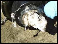 Wipes are clogging sewer lines and leading to expensive repairs