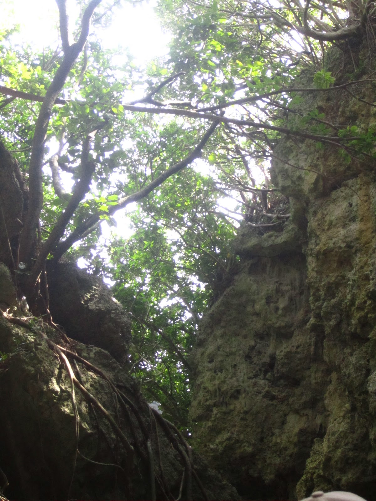 Happily Ever The Carsons: Okinawa Tunnel Rats Tour