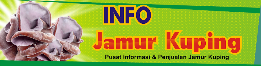 Info Jamur Kuping
