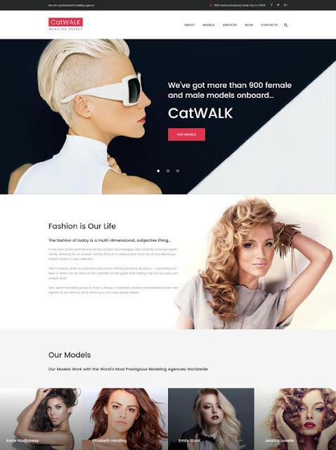 Catwalk WordPress Teması