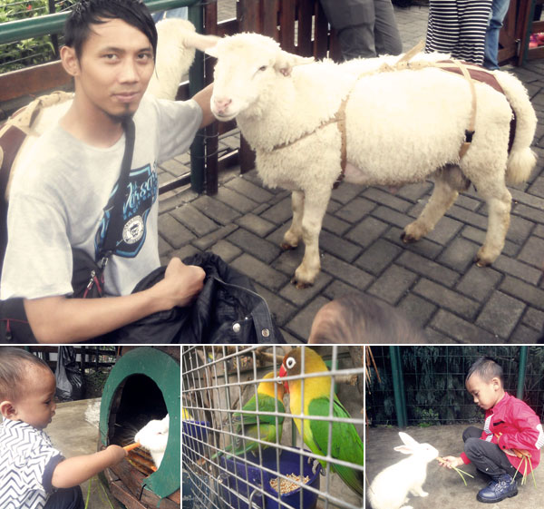 Mini Zoo Mini Zoo Farm House Susu Lembang