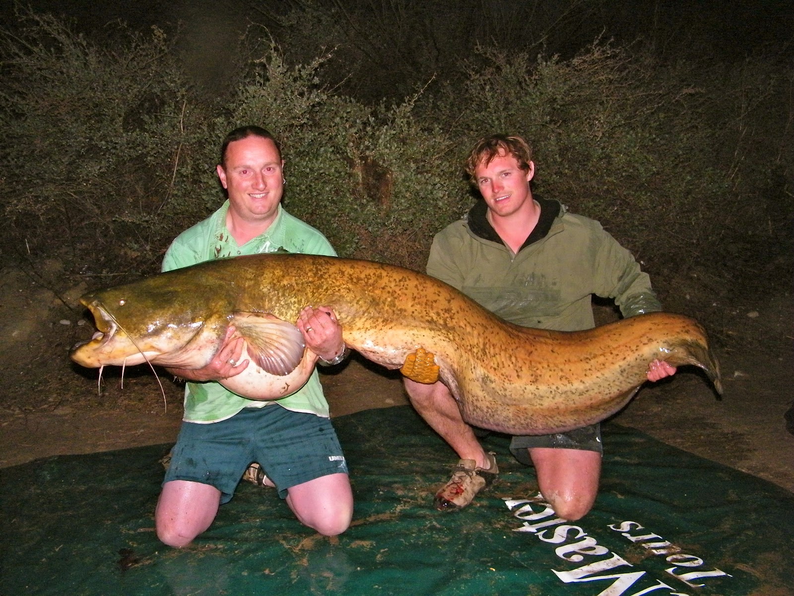 Joe Chatterton's Angling Diary Spanish Catfishing with Catmaster tours
