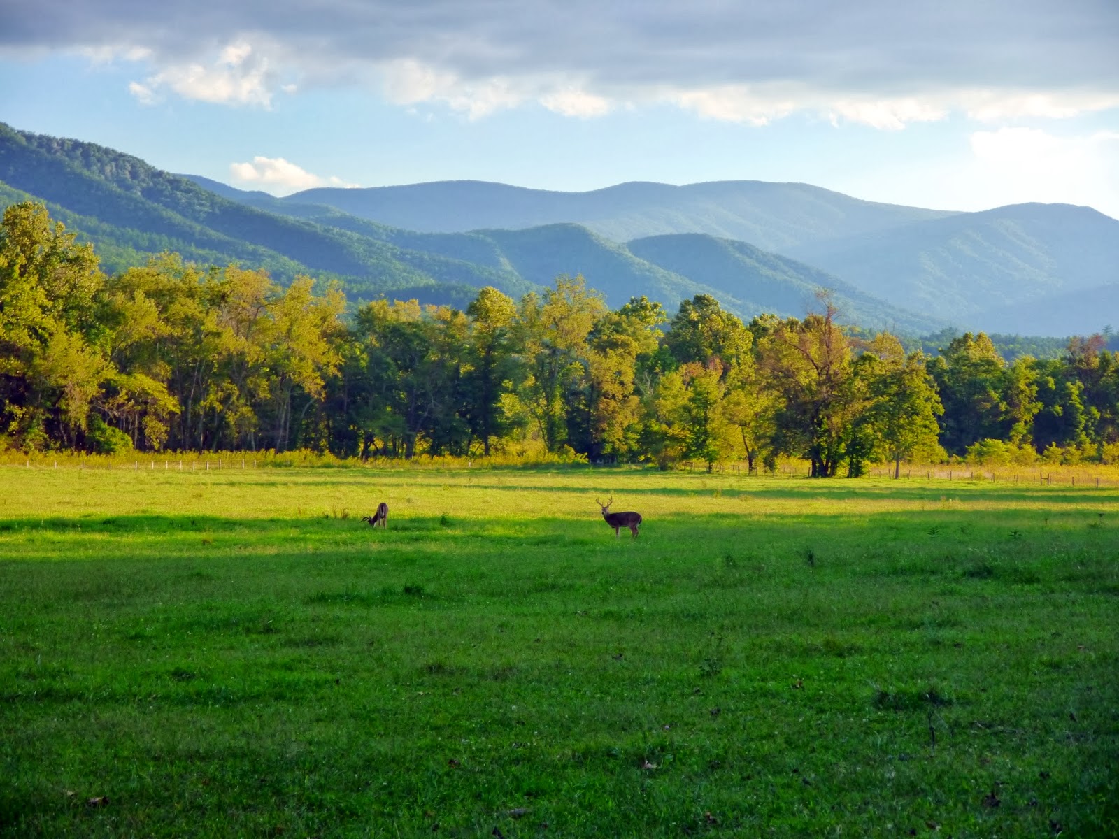 American Travel Journal Cades Cove Great Smoky Mountains National Park