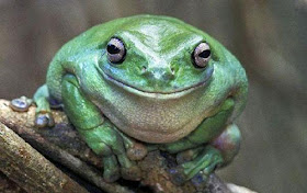 طريف: شاهدوا صور الحيوانات وهي تبتسم بطريقة مضحكة