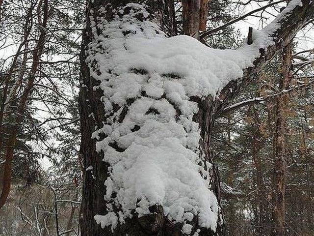 Rite-Mail-Picdump-030.jpg