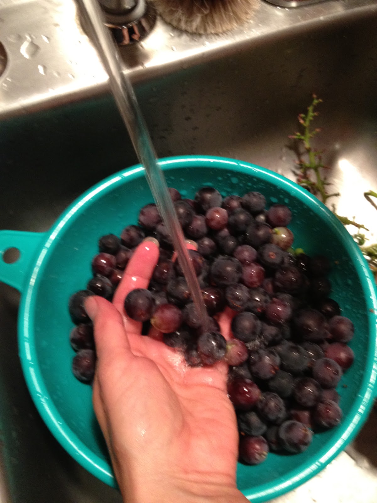 How to Use and Freeze Grapes For Winter Simply Healthy