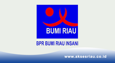 PT BPR Bumi Riau Insani