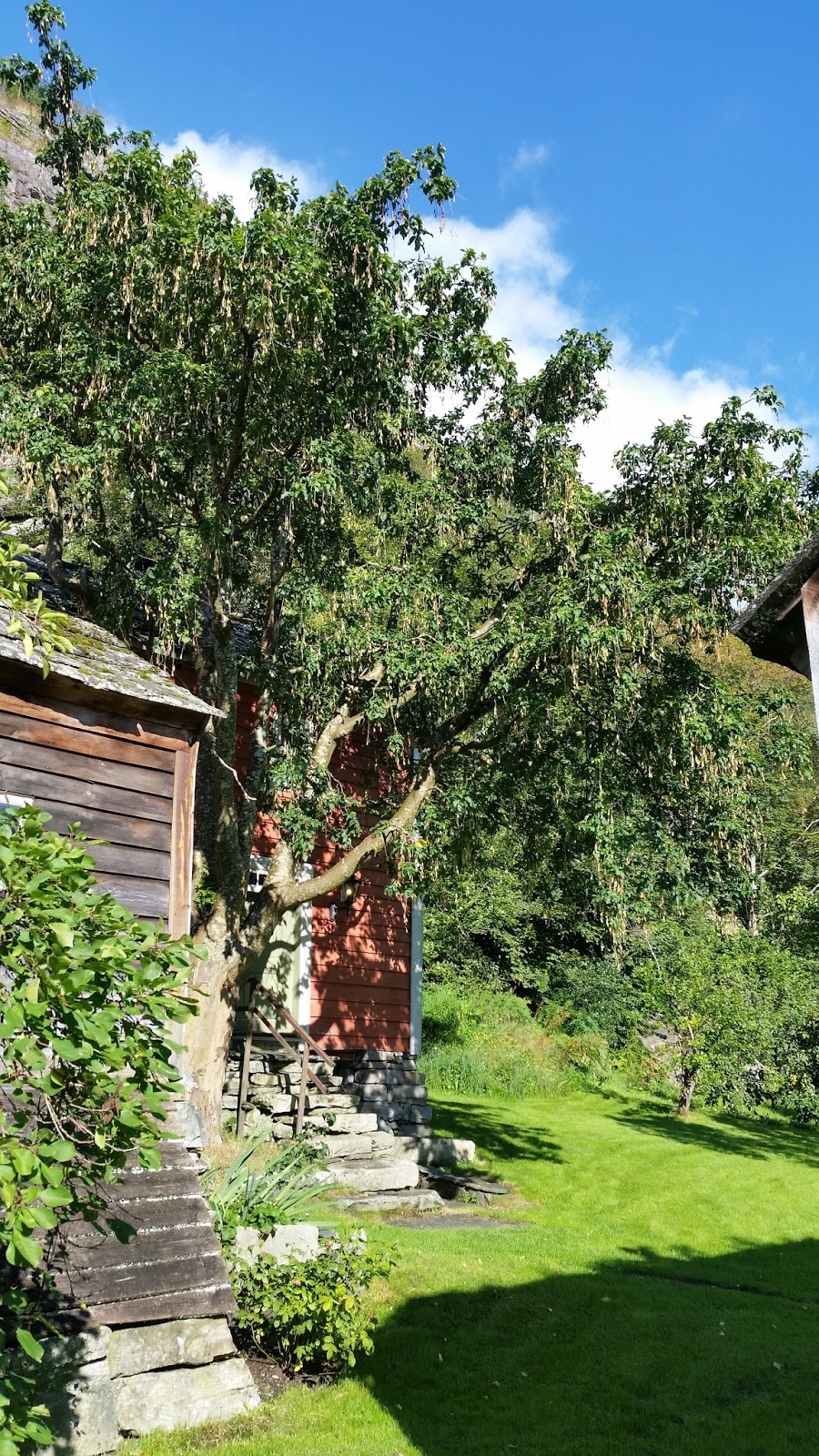 Hurra Ein Einwand Drei Tipps Fur Ihr Nachstes Verkaufsgesprach