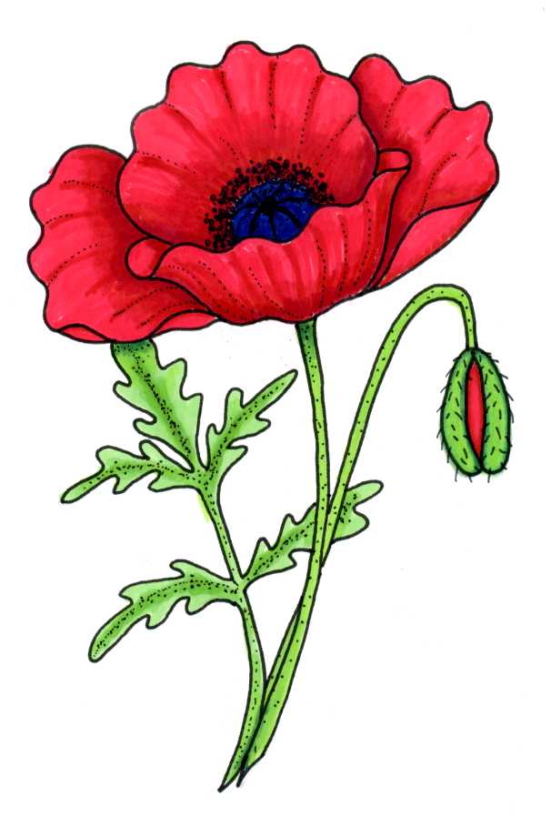 dots 'n' doodles: Remembrance Sunday Poppy