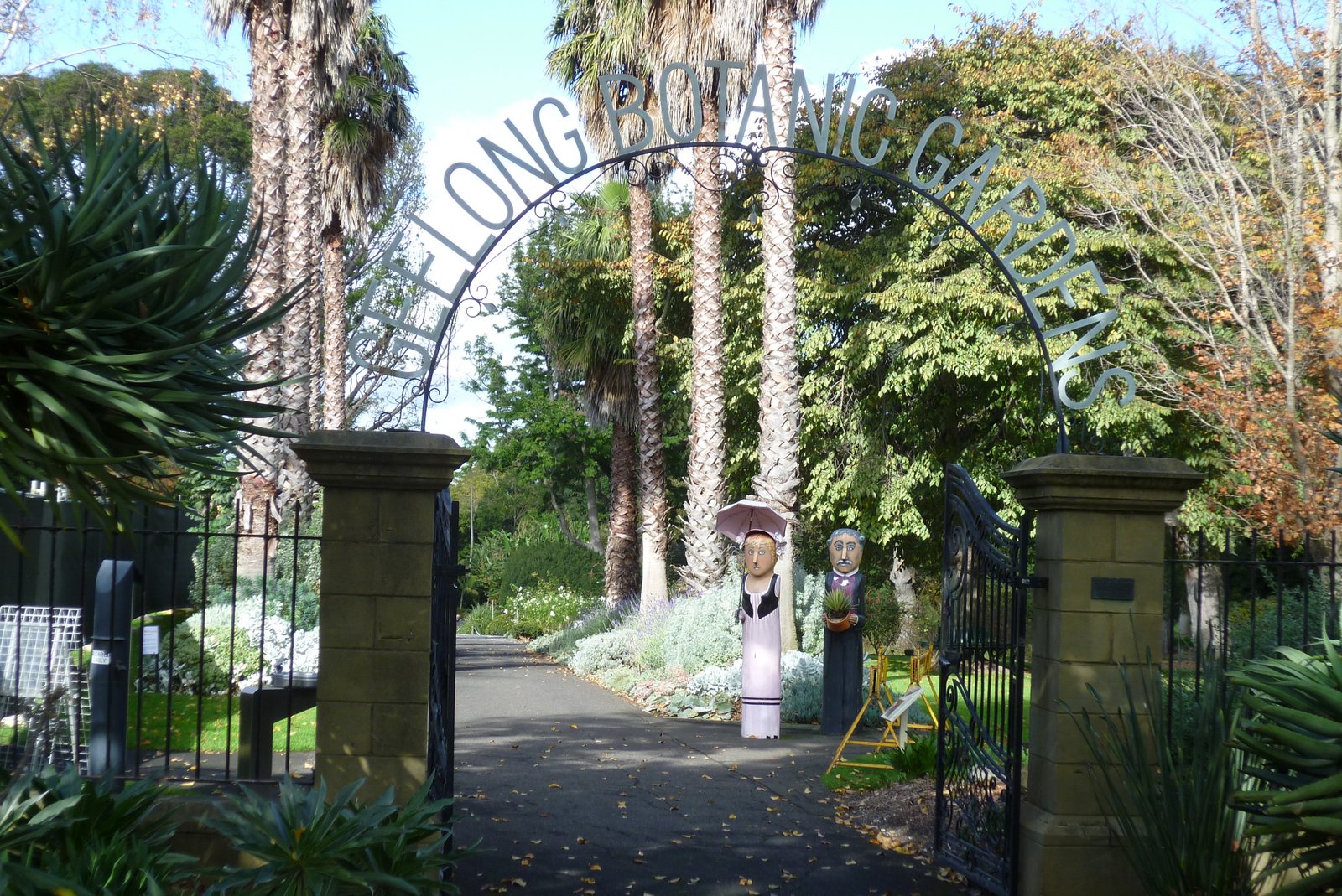 Witchwae on the Move Botanical Gardens Geelong