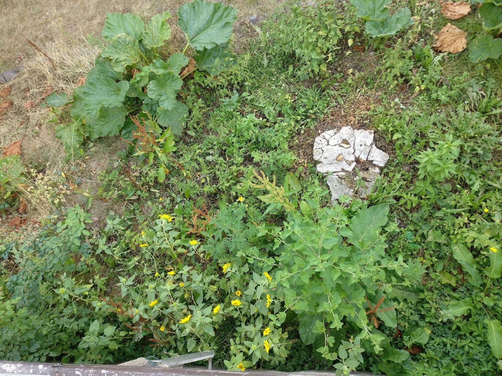 Garten Haus Und Gartenhaus 2018