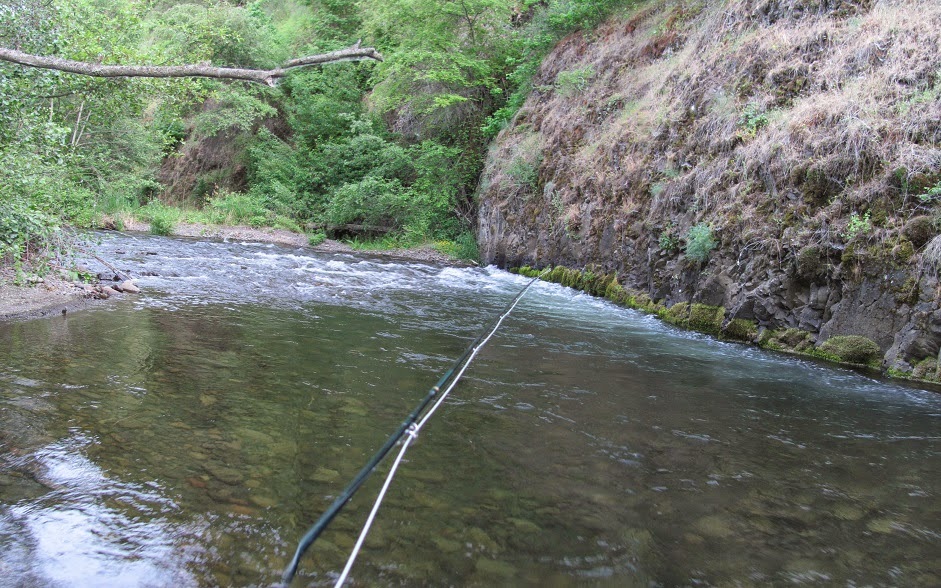 Walla² Fly Fishers Fishing the lower South Fork of the Walla Walla River