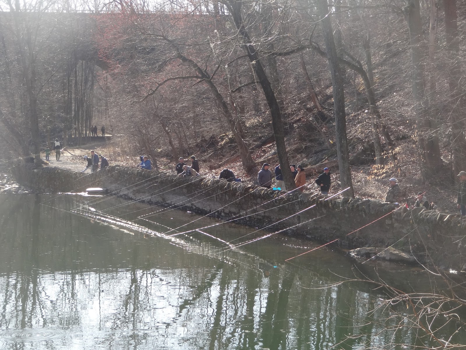 Extreme Philly Fishing 2016 Trout Season Pennypack and Wissahickon