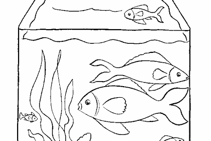 Contoh Gambar Mewarnai Akuarium Ikan Kataucap