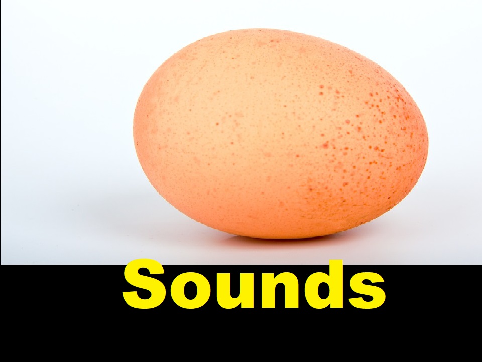All Sound Effects: Egg Sound Effects All Sounds download