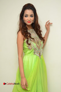 Rashmi Tagore (Miss Planet India 2016) Pictures in Green Dress at Telangana Film Chamber  0014