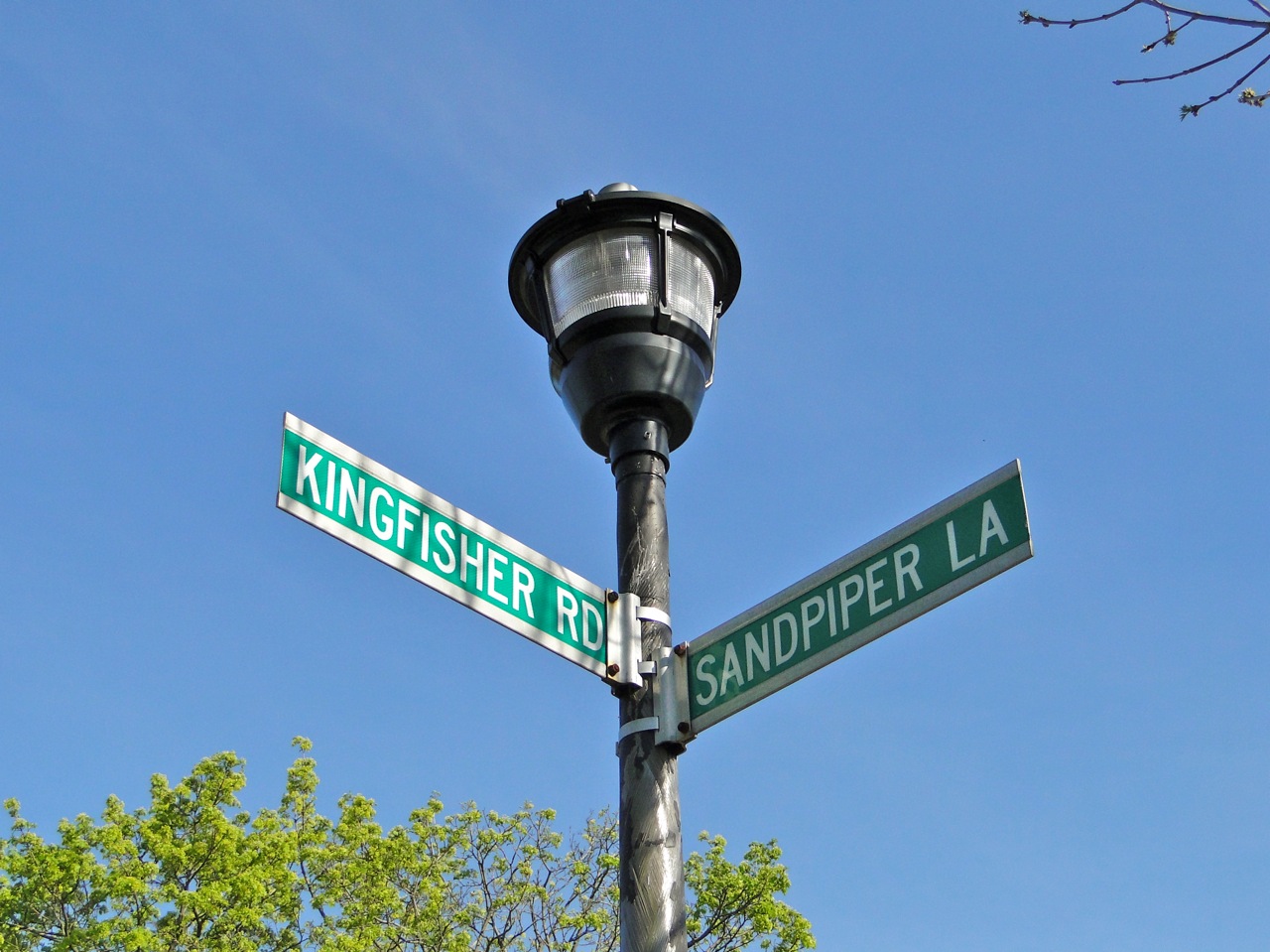 Early Levittown NY and Beyond By Frank Barning and Friends Memories