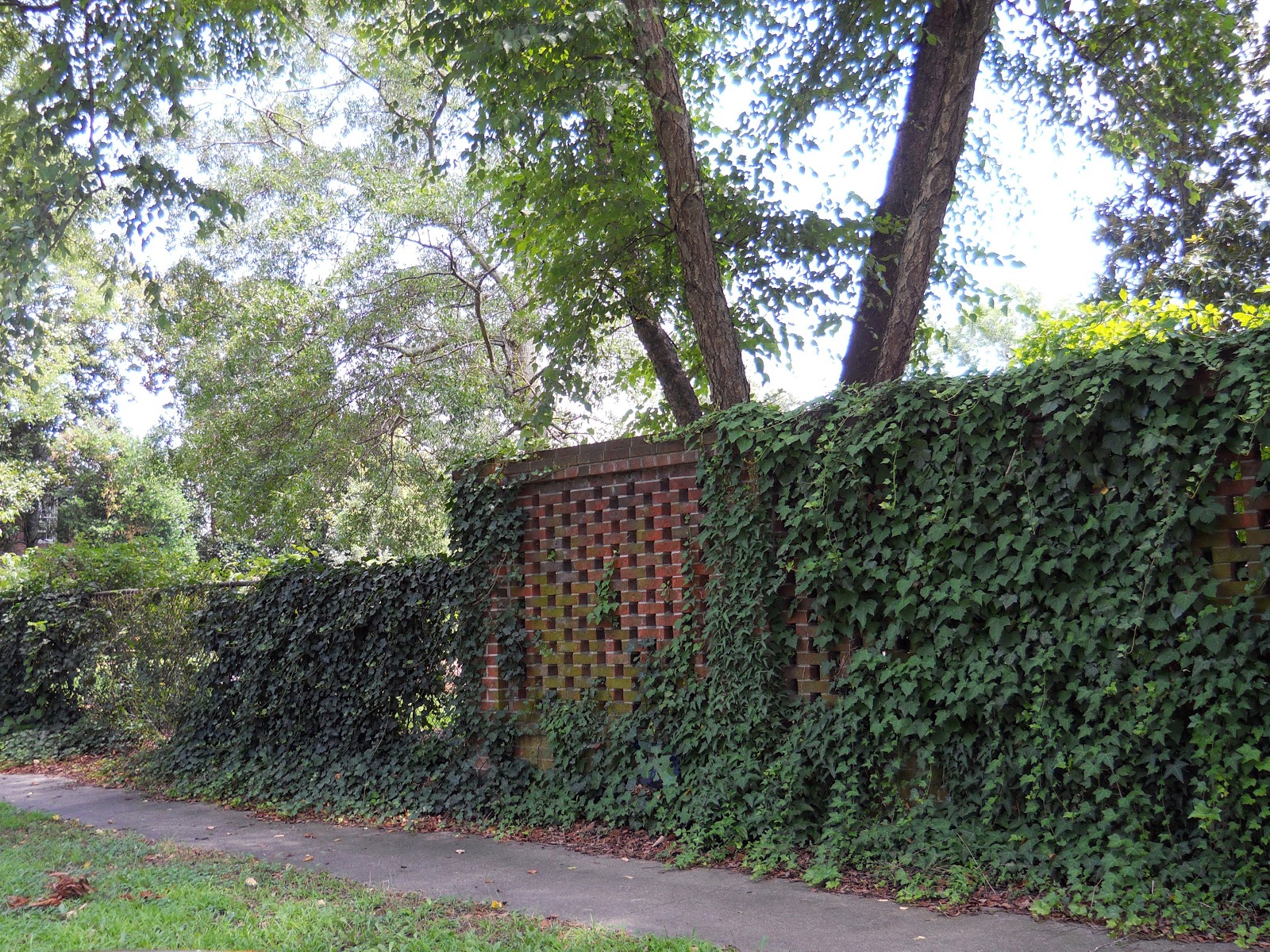 Living Life On Main Street Ivy Decorated Fences