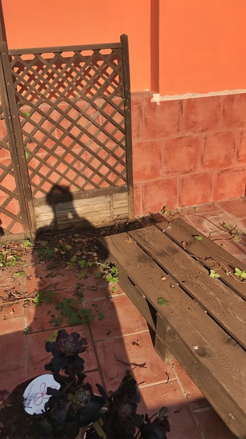 Proceso de la terraza