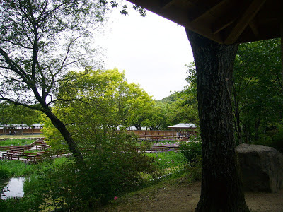 大阪府枚方市・山田池公園