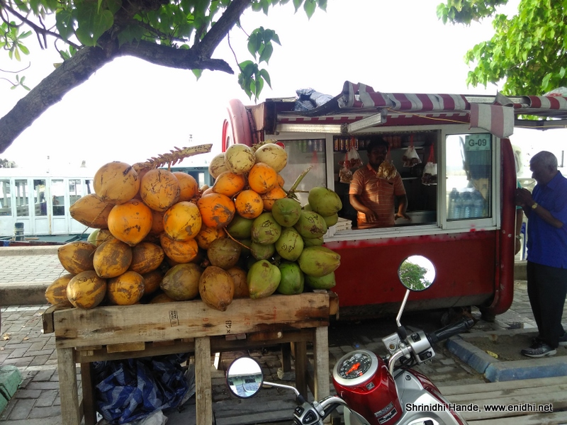 Tender Coconut around the world My findings! eNidhi India Travel Blog