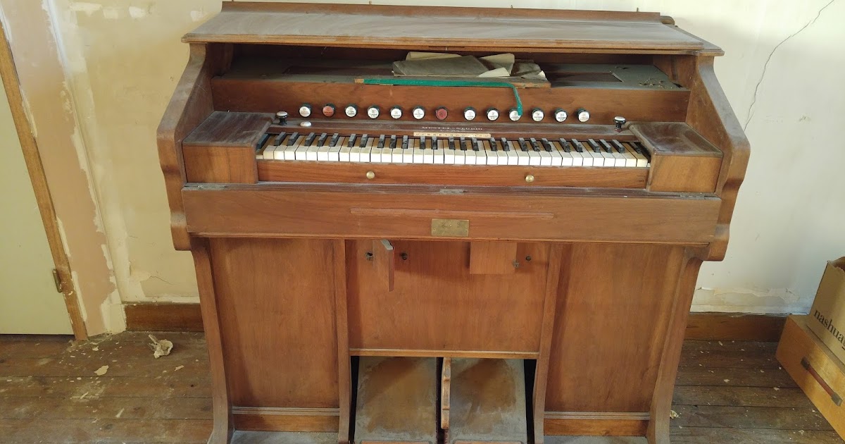 Harmonium MustelStudio