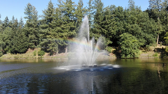 Fontein in de Apenheul