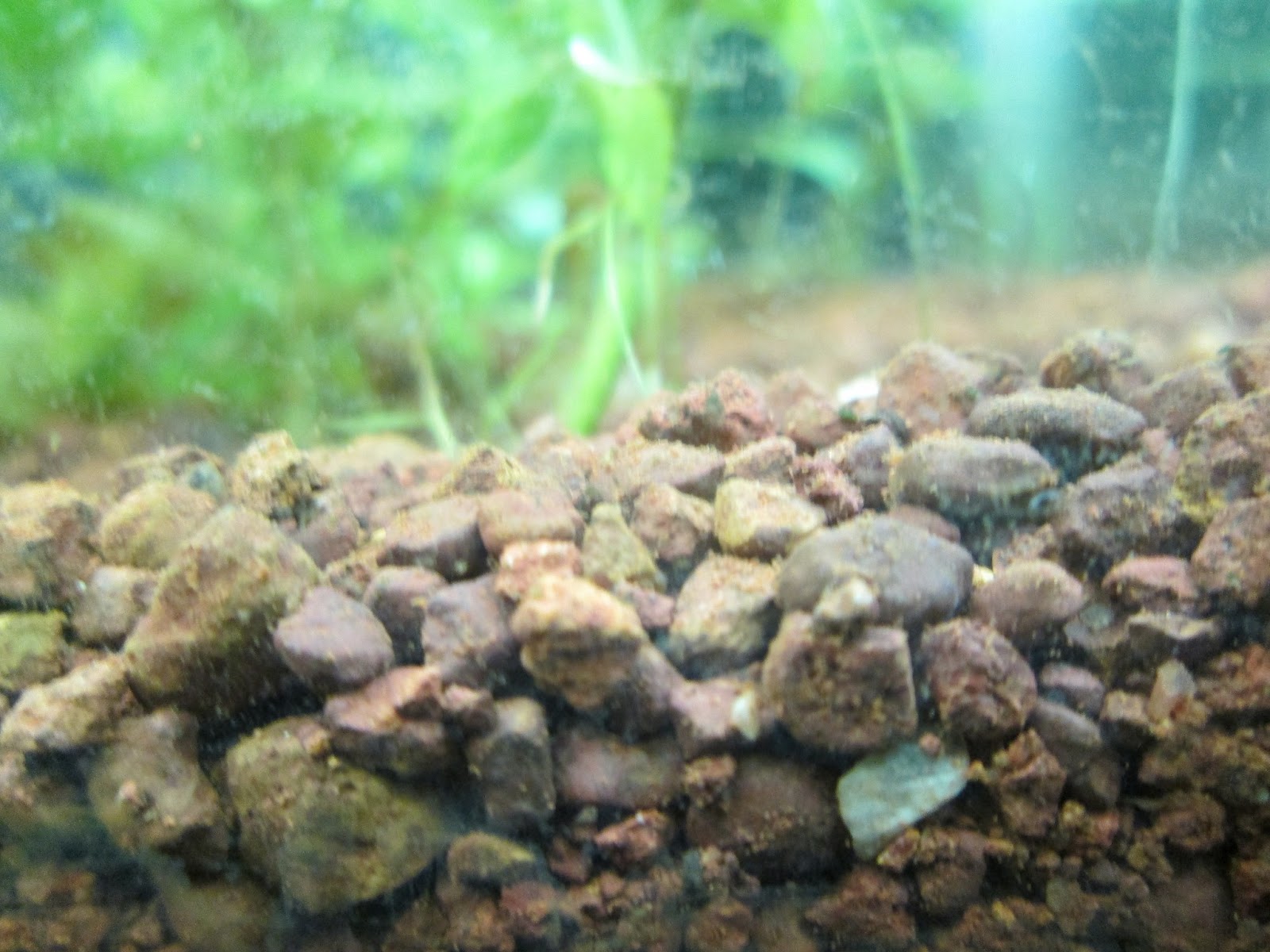 Natural Aquariums Laterite in the Planted Aquarium