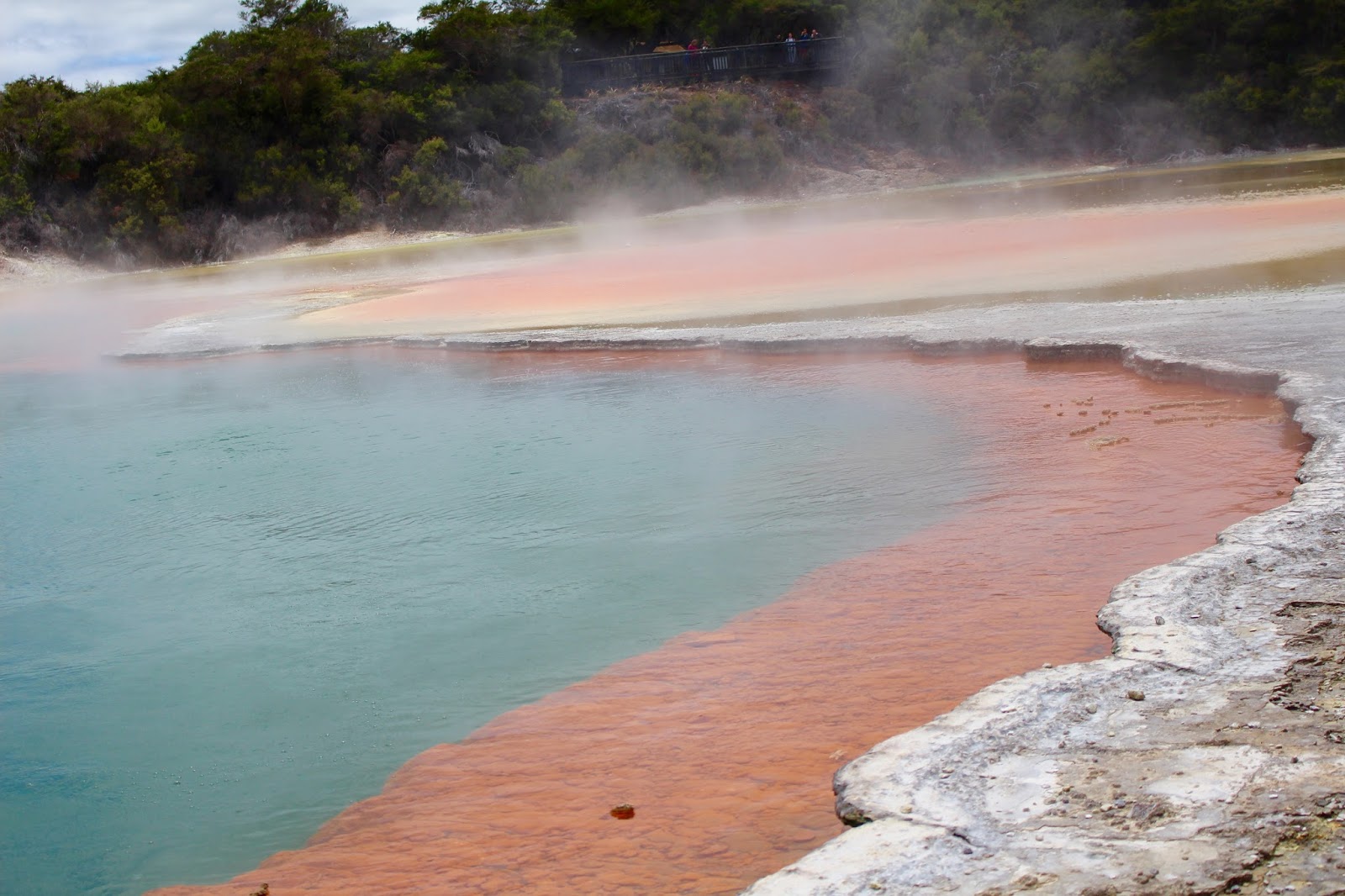 Jeans Family Kiwi Chronicles Mud, geysers, colorful pools, hot