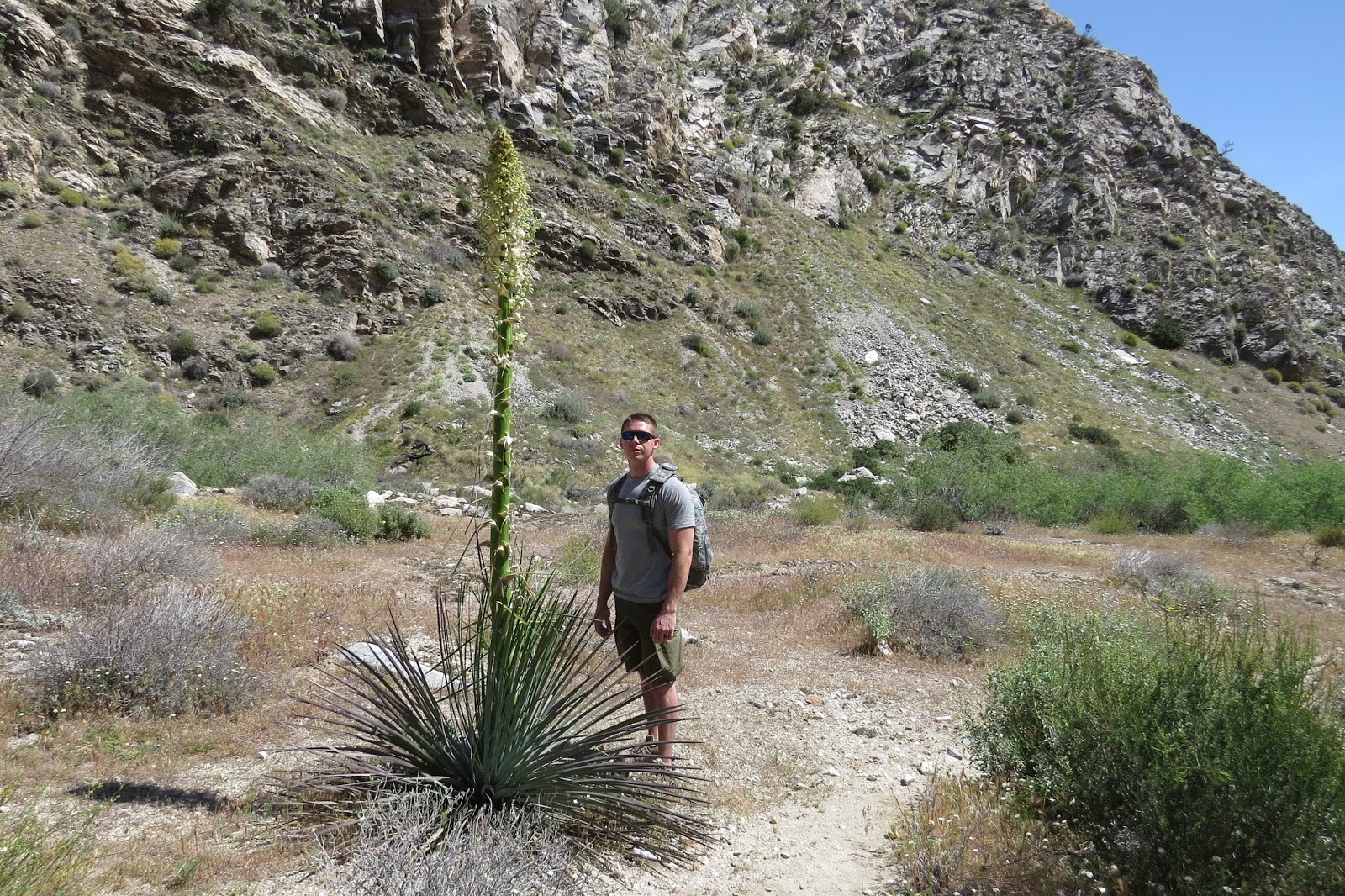 Palm Desert California, Whitewater Canyon Painted Trail Hike at Whitewater Preserve, Aunie Sauce Travels
