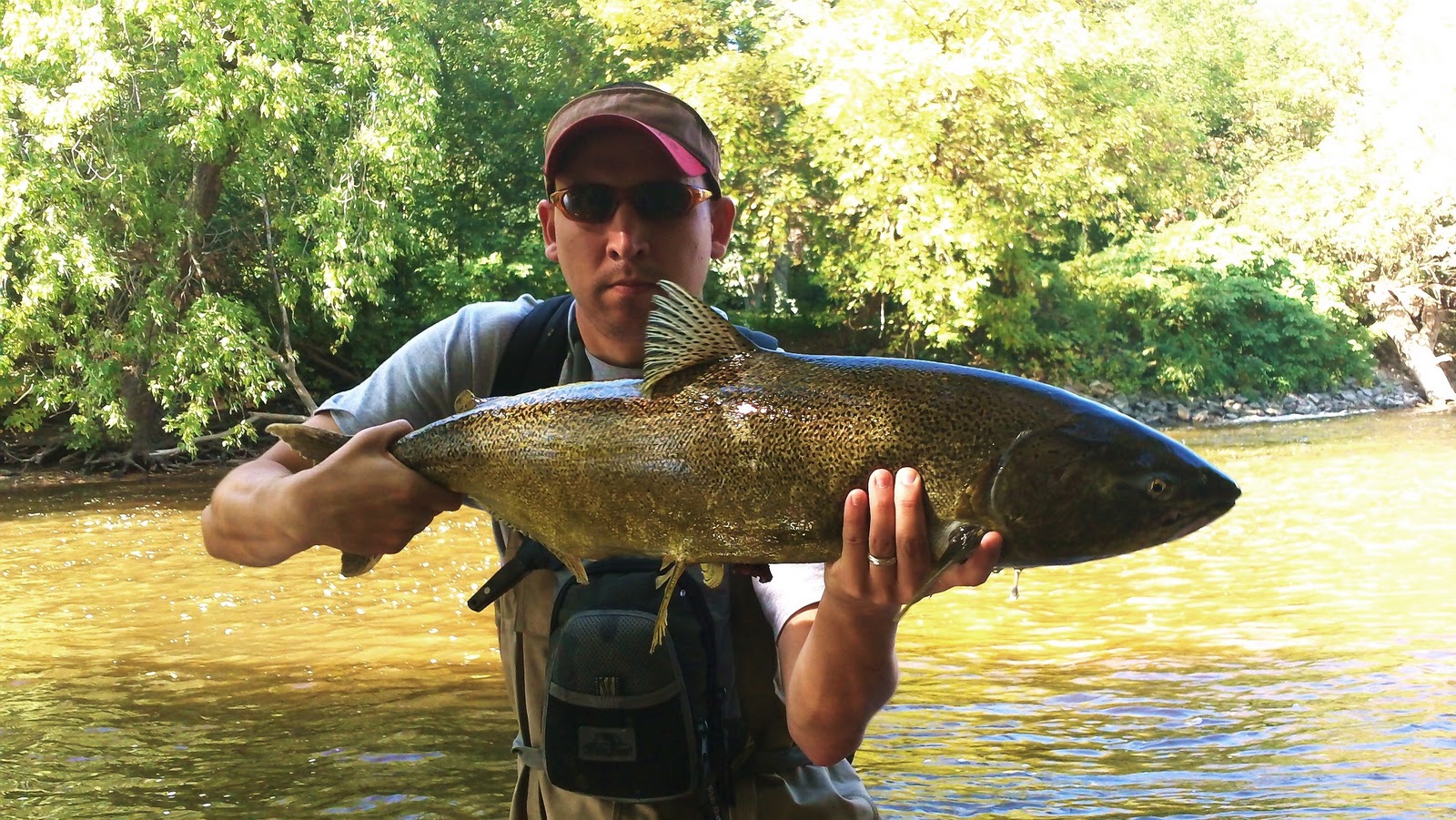 Illinois Wisconsin Fishing milwaukee river king salmon fishing