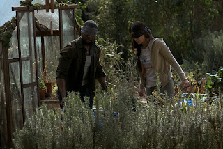 Bird Box Still 06