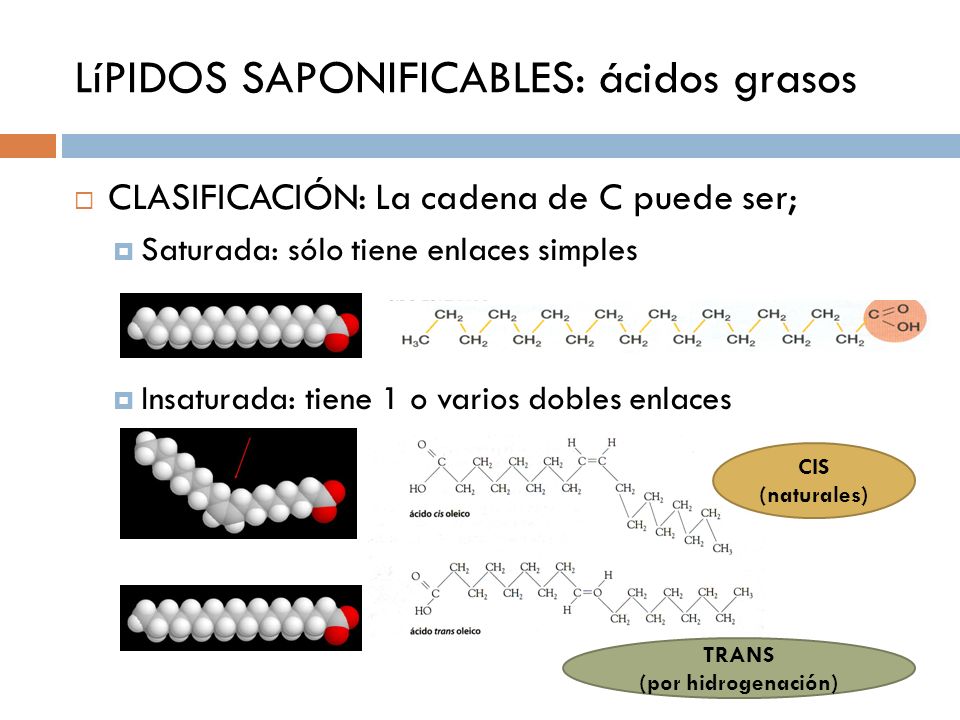 lipidos presentes en los alimentos