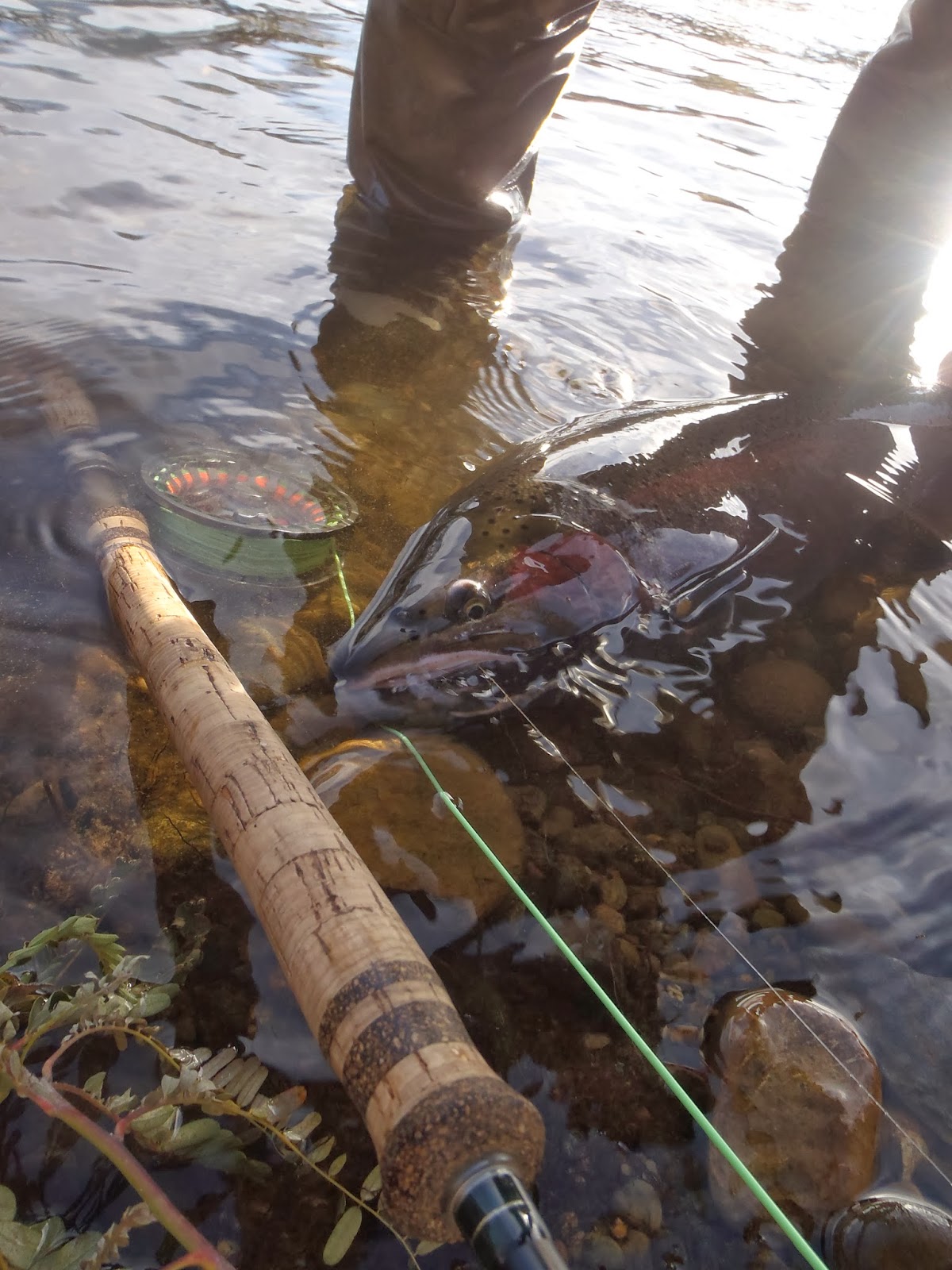 Irideus Fly Fishing Products Indicator fly fishing for California