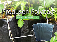 Jenis-Jenis Polybag Tanaman