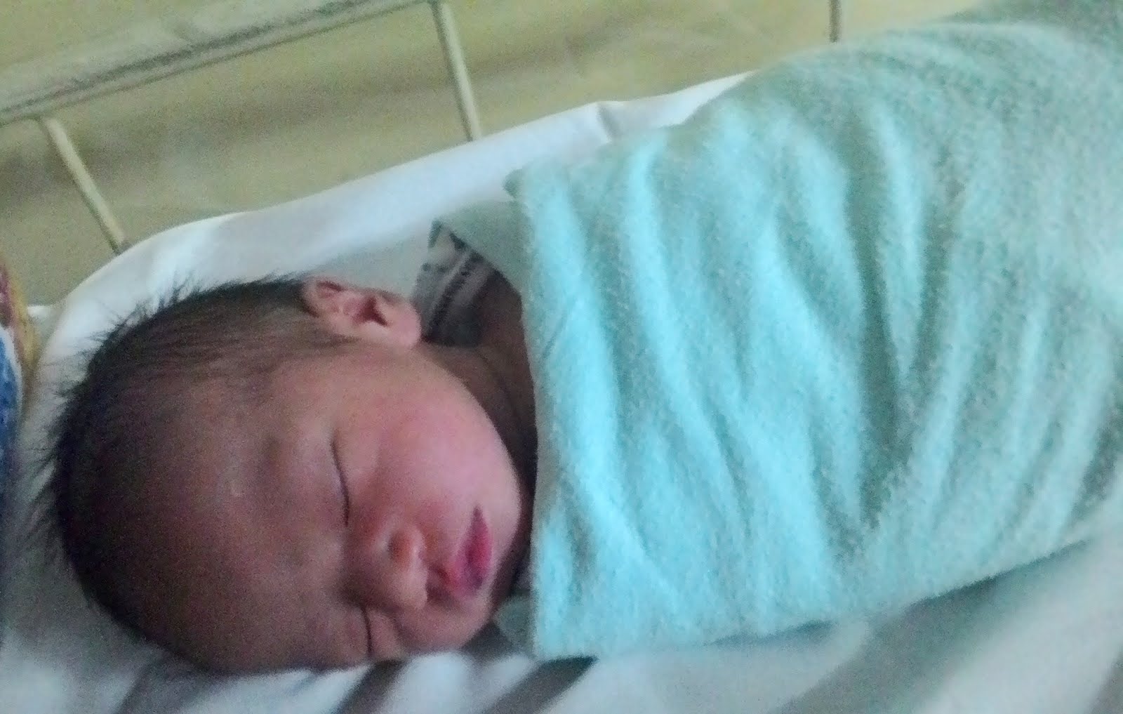 Raja Muhamad Harraz