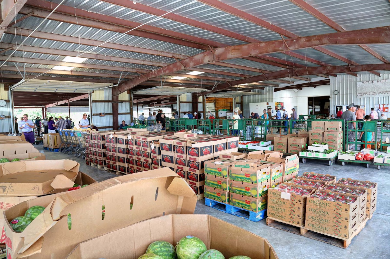 John and Sigrid's Adventures Jamesport, MO and the Produce Auction July 13, 2015