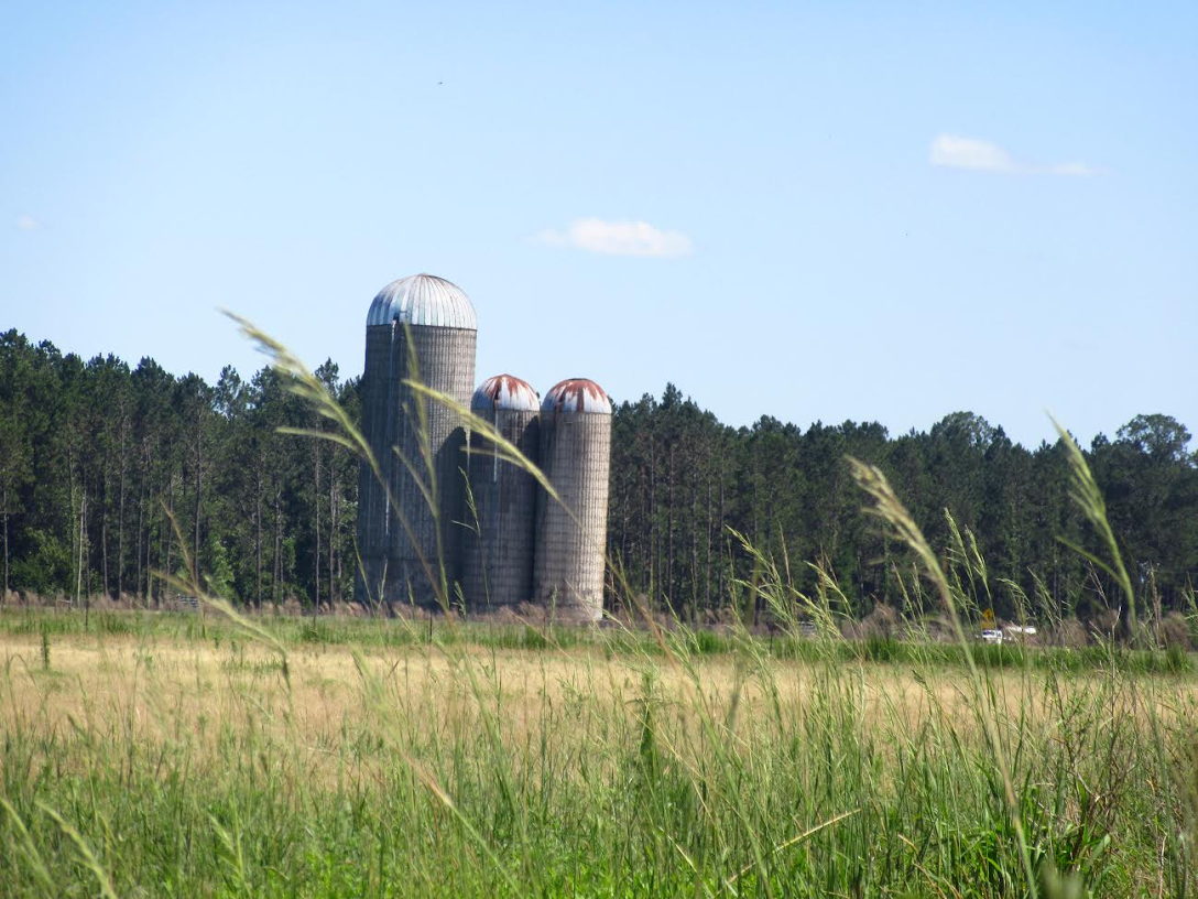 Mitchell Hill's Mission Blog May 29, 2017 Alma, GA