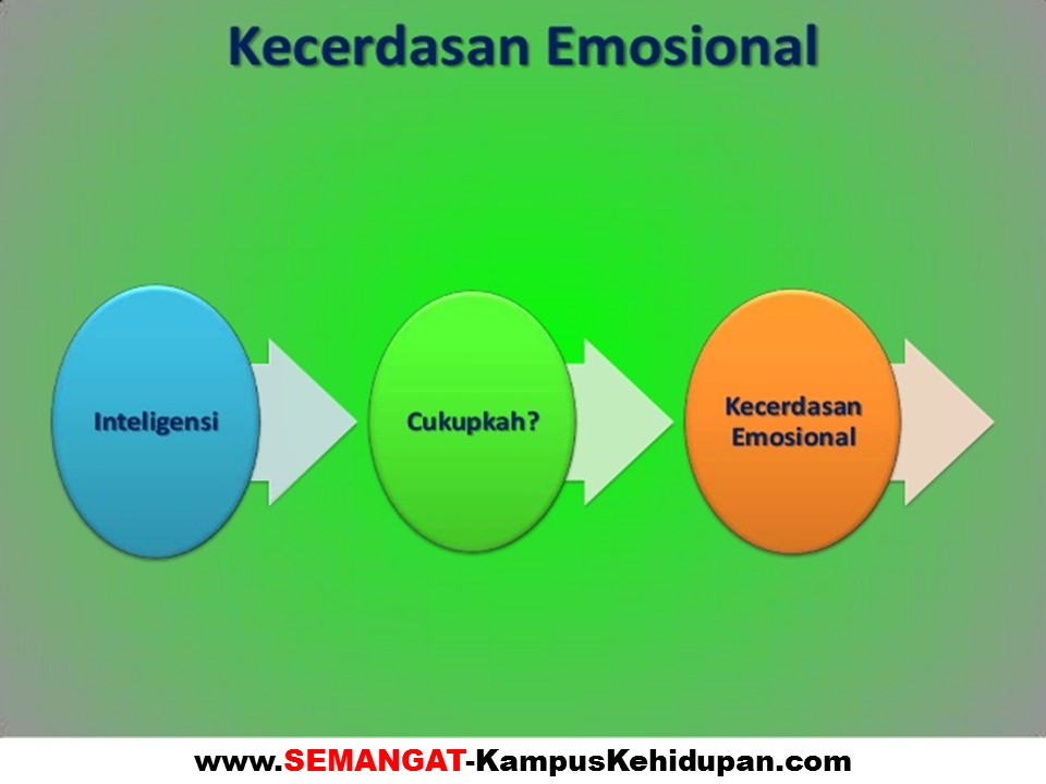 Johanes Budi Walujo: APA ITU KECERDASAN EMOSIONAL?