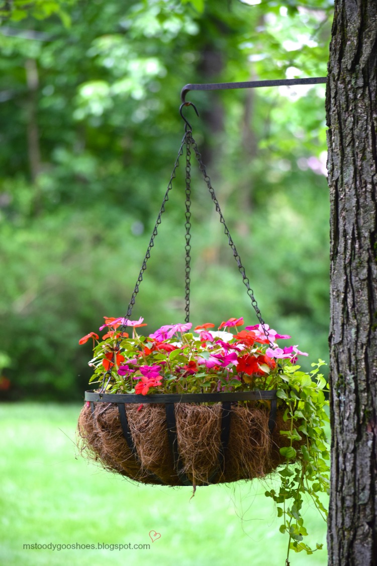 Hanging Flower Basket - Fill with impatiens and creeping Jenny - So pretty! | Ms. Toody Goo Shoes