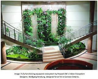 Aquaponic Indoor Ecosystem, designer: Wolfgang Amelung