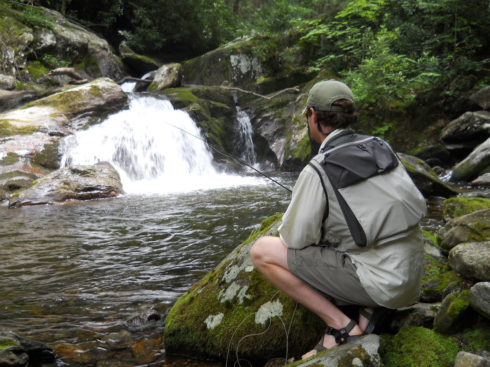 Brown Trout Fly Fishing