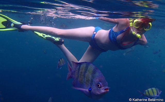 Snorkeling Ko Phi Phi Islands, Thailand