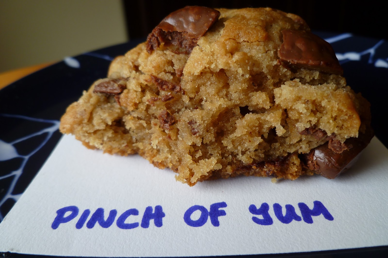 The Pastry Chef's Baking Pinch of Yum Chocolate Chip Cookies