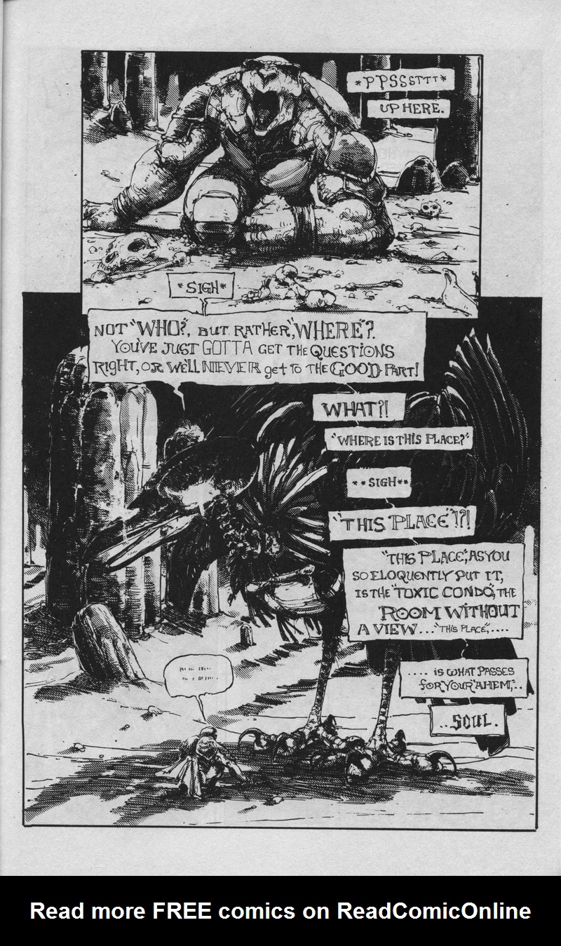 Teenage Mutant Ninja Turtles (1984) Issue #36 #36 - English 18