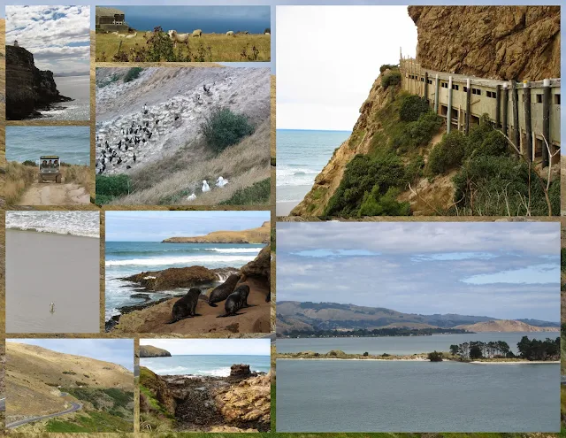 Scenes from the Otago Peninsula in New Zealand